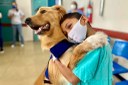 Bem-estar animal: Projeto busca implantação de pet terapia em Osasco