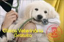 Osasco pode ganhar clínica veterinária gratuita