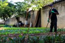 Parlamentares incentivam implantação de hortas urbanas em Osasco
