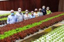 Parlamentares visitam fazenda urbana em Osasco e conhecem projeto de segurança alimentar